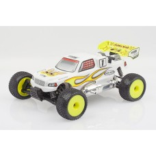 Truggy Hong Nor RTR
